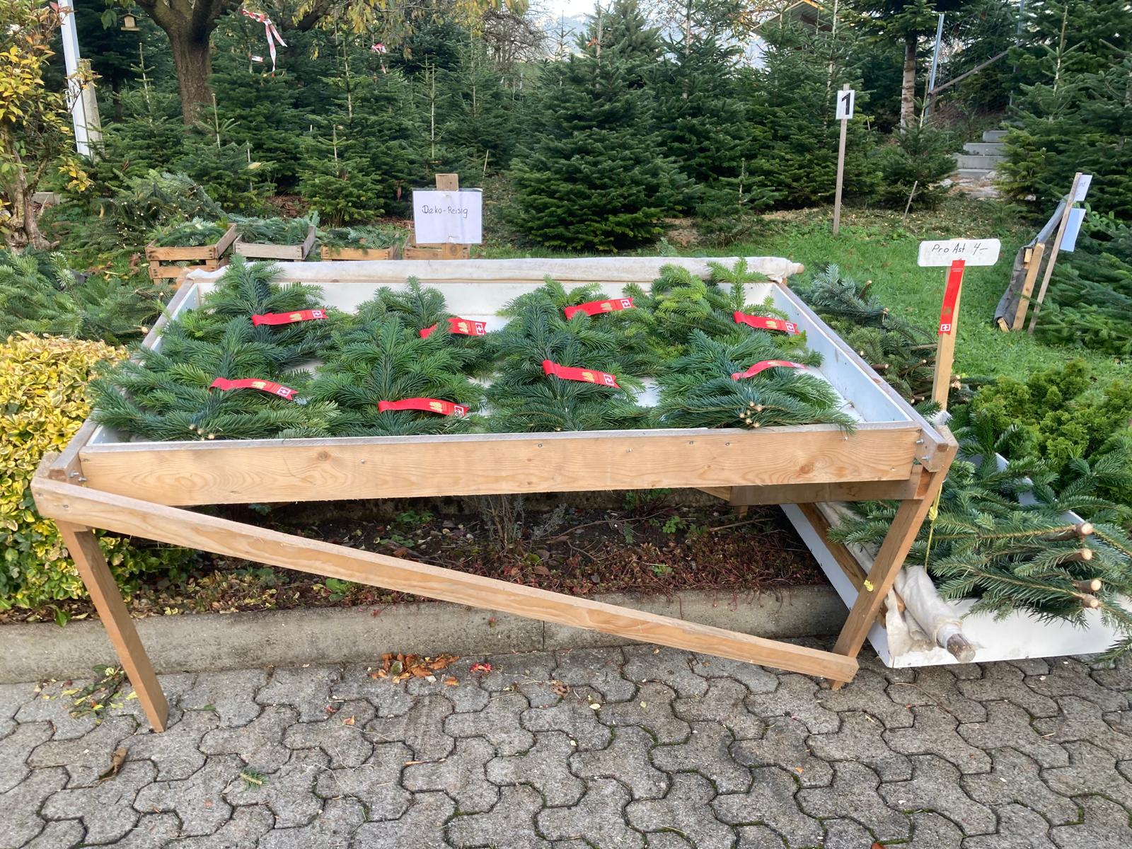 Dekoreisig und Abdeckäste aus Nordmannstannen